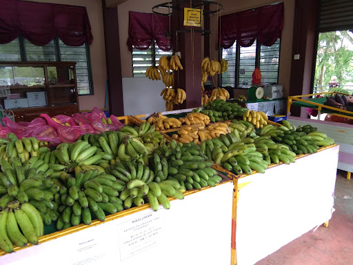 Gerai Buah PPPTR