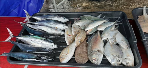 Fresh mart