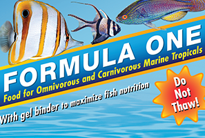 F One Frozen & Ingredient Supply