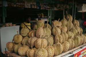 Fruit stall (durian)