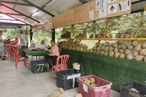 Kedai Runcit Charlie