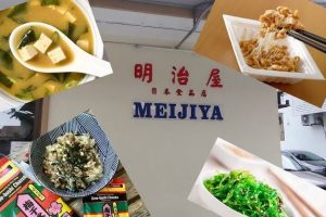 Meijiya Enterprise